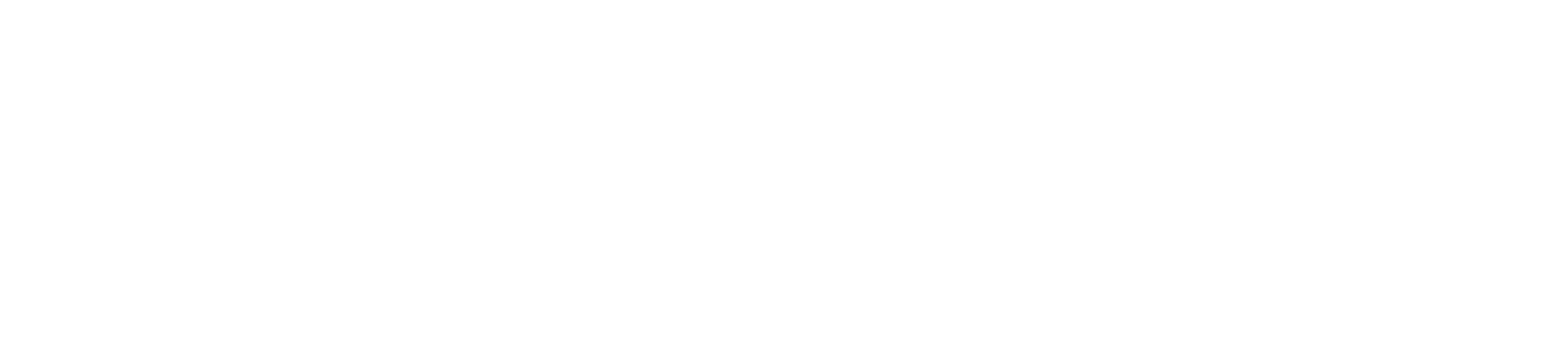logo_romitex